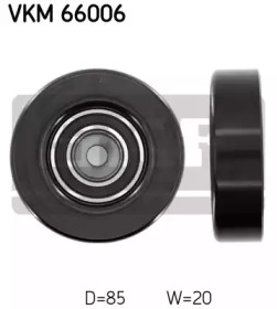 VKM 66006