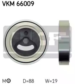 VKM 66009