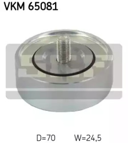 VKM 65081