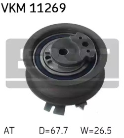 VKM 11269