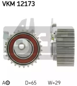 VKM 12173