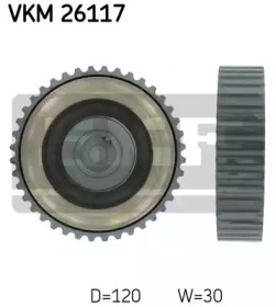 VKM 26117