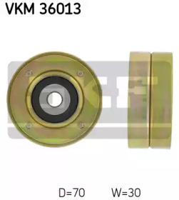 VKM 36013