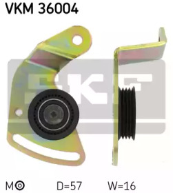 VKM 36004