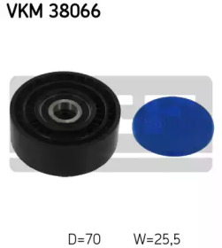 VKM 38066