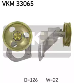 VKM 33065
