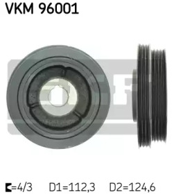 VKM 96001