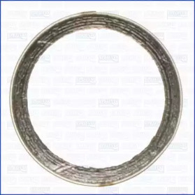 Уплотнительное кольцо, труба выхлопного газа 19002200 AJUSA – фото