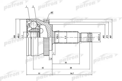 PCV1661