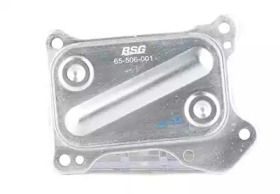 BSG 65-506-001