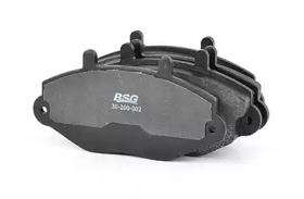BSG 30-200-002