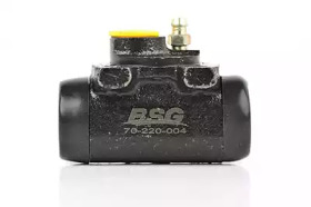 BSG 70-220-004