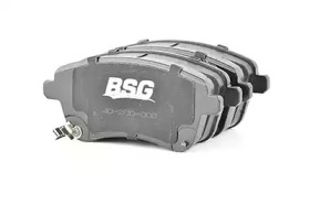 BSG 40-200-008