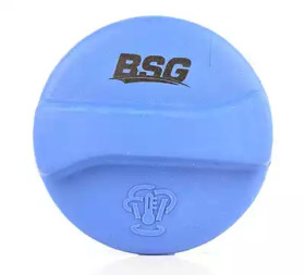 BSG 90-551-001
