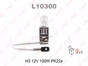 L10300