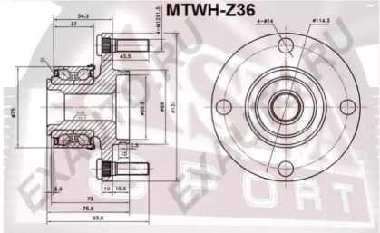 MTWH-Z36