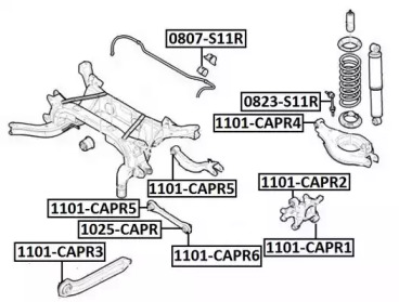 1101-CAPR1