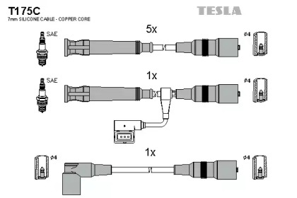 T175C