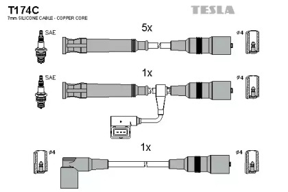 T174C