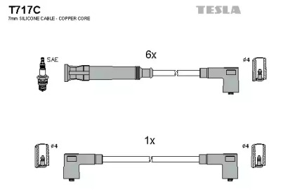 T717C