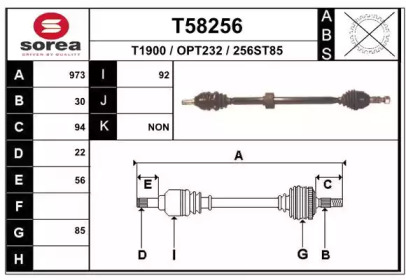 T58256