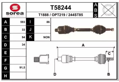 T58244