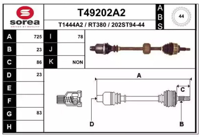 T49202A2