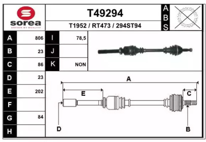 T49294