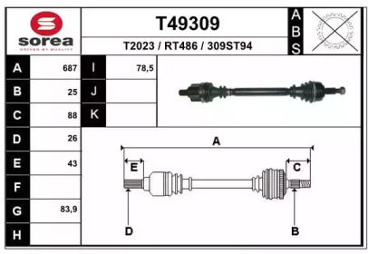 T49309