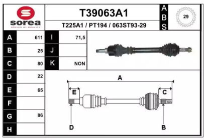 T39063A1