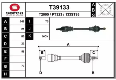 T39133