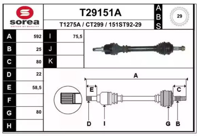 T29151A